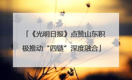 《光明日报》点赞山东积极推动“四链”深度融合