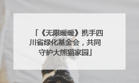 《无限暖暖》携手四川省绿化基金会，共同守护大熊猫家园
