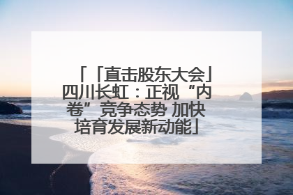 「直击股东大会」四川长虹：正视“内卷”竞争态势 加快培育发展新动能