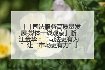 「司法服务高质量发展·媒体一线观察」浙江金华：“司法更有为”让“市场更有力”