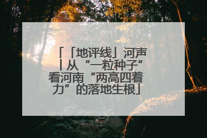 「地评线」河声丨从“一粒种子”看河南“两高四着力”的落地生根