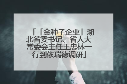 「金种子企业」湖北省委书记、省人大常委会主任王忠林一行到依瑞德调研