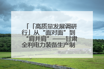「高质量发展调研行」从“面对面”到“肩并肩”——甘肃全利电力装备生产制造项目一线见闻