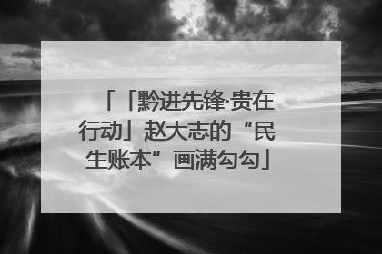 「黔进先锋·贵在行动」赵大志的“民生账本”画满勾勾