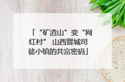 “矿渣山”变“网红村” 山西晋城司徒小镇的共富密码