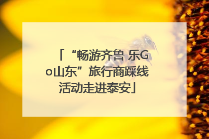 “畅游齐鲁 乐Go山东”旅行商踩线活动走进泰安