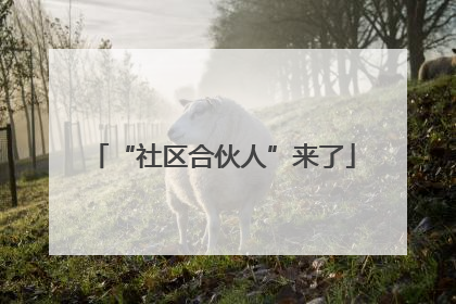 “社区合伙人”来了