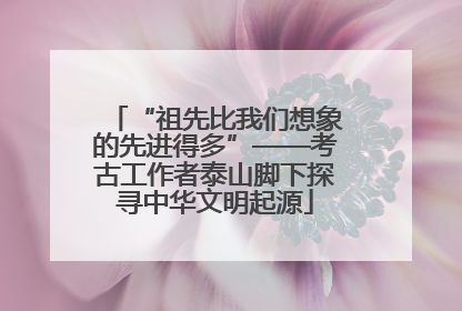 “祖先比我们想象的先进得多”——考古工作者泰山脚下探寻中华文明起源