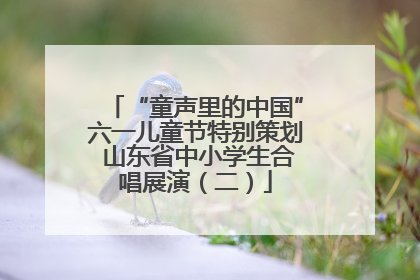 “童声里的中国”六一儿童节特别策划 山东省中小学生合唱展演（二）