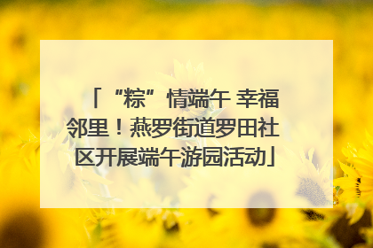 “粽”情端午 幸福邻里！燕罗街道罗田社区开展端午游园活动