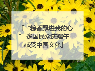 “粽香飘进我的心” 多国民众庆端午感受中国文化