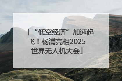 “低空经济”加速起飞！杨浦亮相2025世界无人机大会