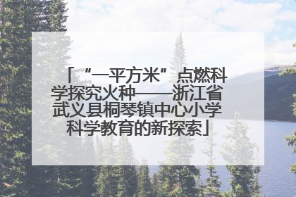 “一平方米”点燃科学探究火种——浙江省武义县桐琴镇中心小学科学教育的新探索