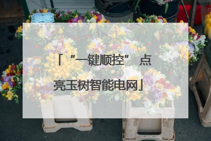 “一键顺控” 点亮玉树智能电网