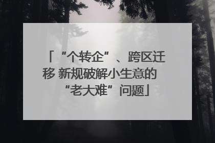 “个转企”、跨区迁移 新规破解小生意的“老大难”问题