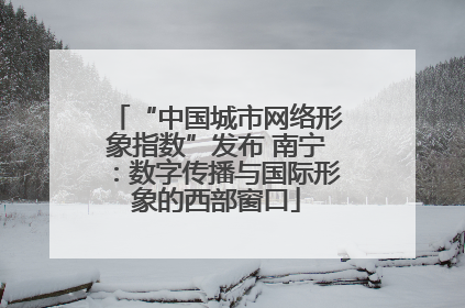 “中国城市网络形象指数”发布 南宁：数字传播与国际形象的西部窗口