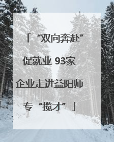 “双向奔赴”促就业 93家企业走进益阳师专“揽才”