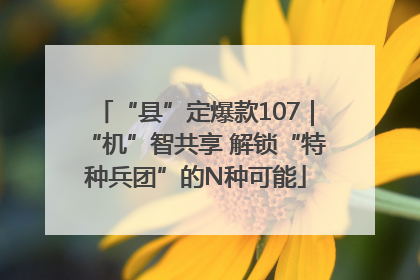 “县”定爆款107｜“机”智共享 解锁“特种兵团”的N种可能