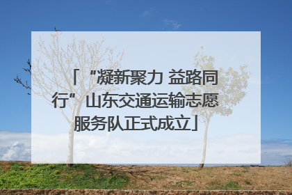 “凝新聚力 益路同行”山东交通运输志愿服务队正式成立