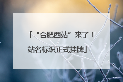“合肥西站”来了！站名标识正式挂牌