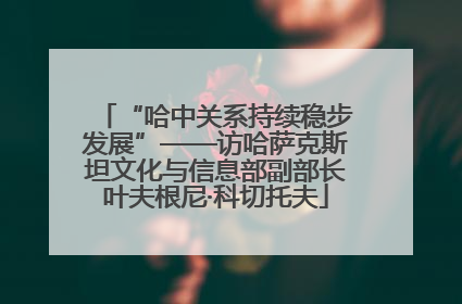 “哈中关系持续稳步发展”——访哈萨克斯坦文化与信息部副部长叶夫根尼·科切托夫