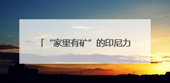 “家里有矿”的印尼力邀中企深化产业下游化，中企有哪些最新考量？