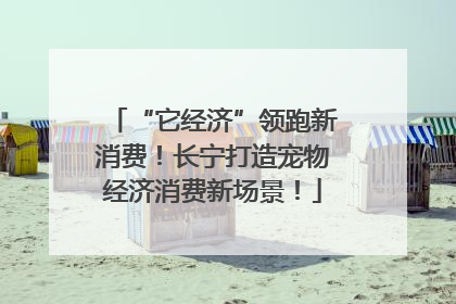 “它经济”领跑新消费！长宁打造宠物经济消费新场景！