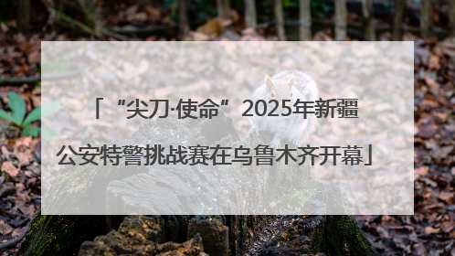 “尖刀·使命”2025年新疆公安特警挑战赛在乌鲁木齐开幕