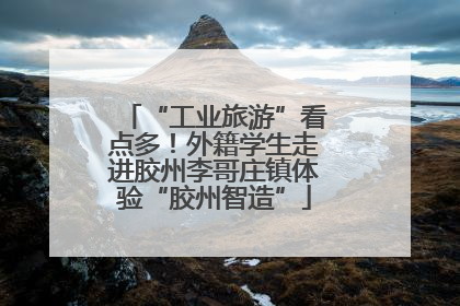 “工业旅游”看点多！外籍学生走进胶州李哥庄镇体验“胶州智造”