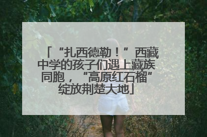 “扎西德勒！”西藏中学的孩子们遇上藏族同胞，“高原红石榴”绽放荆楚大地