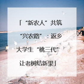 “新农人”共筑“兴农路”：返乡大学生“桃三代”让老树结新果