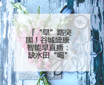 “旱”路突围！谷城盛康智能旱直播：缺水田“喝”上高产水