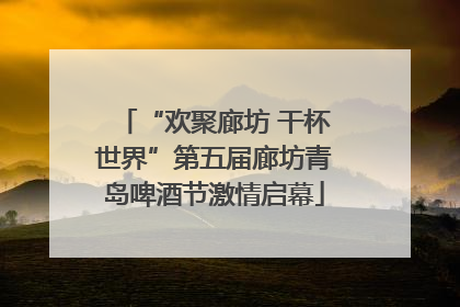 “欢聚廊坊 干杯世界”第五届廊坊青岛啤酒节激情启幕