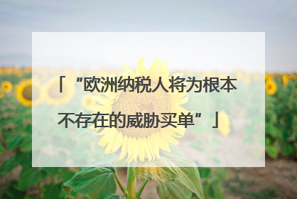 “欧洲纳税人将为根本不存在的威胁买单”