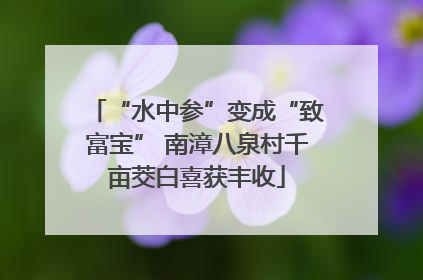 “水中参”变成“致富宝” 南漳八泉村千亩茭白喜获丰收