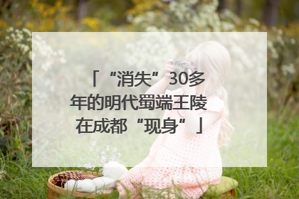 “消失”30多年的明代蜀端王陵在成都“现身”
