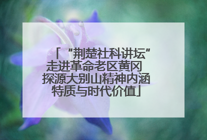 “荆楚社科讲坛”走进革命老区黄冈 探源大别山精神内涵特质与时代价值