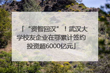 “资智回汉”！武汉大学校友企业在鄂累计签约投资超6000亿元