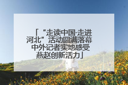 “走读中国·走进河北”活动圆满落幕 中外记者实地感受燕赵创新活力