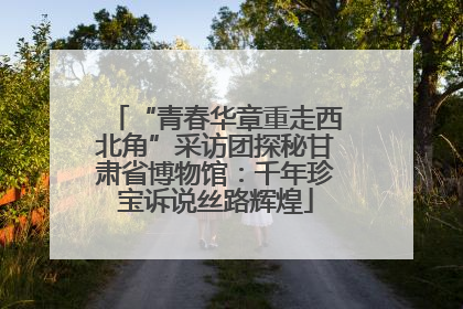 “青春华章重走西北角”采访团探秘甘肃省博物馆：千年珍宝诉说丝路辉煌