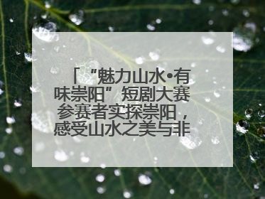 “魅力山水•有味崇阳”短剧大赛参赛者实探崇阳，感受山水之美与非遗文化“提琴戏”魅力