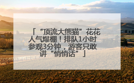 “顶流大熊猫”花花人气爆棚！排队1小时参观3分钟，游客只敢讲“悄悄话”