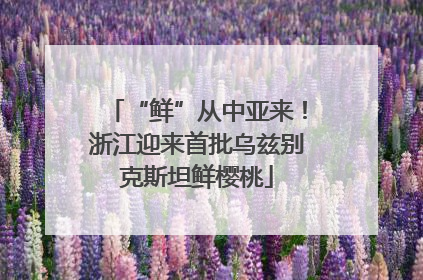“鲜”从中亚来！浙江迎来首批乌兹别克斯坦鲜樱桃