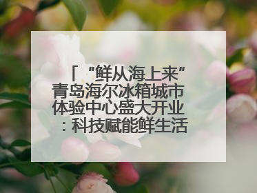 “鲜从海上来”青岛海尔冰箱城市体验中心盛大开业：科技赋能鲜生活，重新定义全球饮食未来