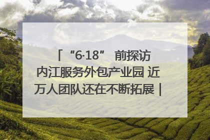 “6·18” 前探访内江服务外包产业园 近万人团队还在不断拓展｜内江东兴“红”在哪⑤