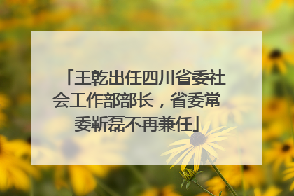 王乾出任四川省委社会工作部部长，省委常委靳磊不再兼任