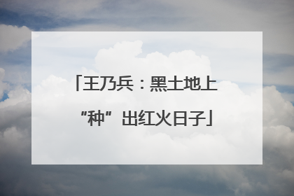 王乃兵：黑土地上“种”出红火日子