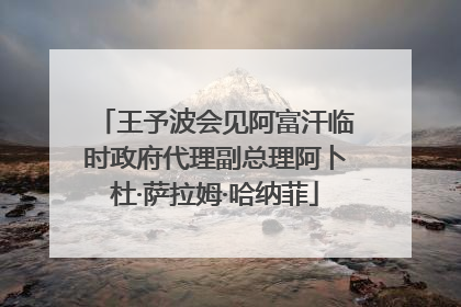 王予波会见阿富汗临时政府代理副总理阿卜杜·萨拉姆·哈纳菲