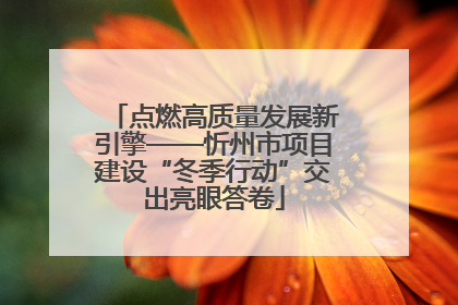 点燃高质量发展新引擎——忻州市项目建设“冬季行动”交出亮眼答卷