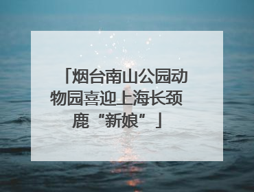 烟台南山公园动物园喜迎上海长颈鹿“新娘”